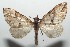  ( - 16-SRNP-102707)  @14 [ ] CreativeCommons  Attribution Non-Commercial Share-Alike (2017) Daniel H. Janzen Guanacaste Dry Forest Conservation Fund
