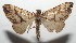  ( - 16-SRNP-102708)  @13 [ ] CreativeCommons  Attribution Non-Commercial Share-Alike (2017) Daniel H. Janzen Guanacaste Dry Forest Conservation Fund