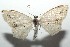  ( - 16-SRNP-102721)  @14 [ ] CreativeCommons  Attribution Non-Commercial Share-Alike (2017) Daniel H. Janzen Guanacaste Dry Forest Conservation Fund