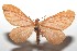  ( - 16-SRNP-102725)  @14 [ ] CreativeCommons  Attribution Non-Commercial Share-Alike (2017) Daniel H. Janzen Guanacaste Dry Forest Conservation Fund