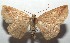  ( - 16-SRNP-102773)  @14 [ ] CreativeCommons  Attribution Non-Commercial Share-Alike (2017) Daniel H. Janzen Guanacaste Dry Forest Conservation Fund