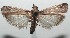  ( - 16-SRNP-102918)  @13 [ ] CreativeCommons  Attribution Non-Commercial Share-Alike (2017) Daniel H. Janzen Guanacaste Dry Forest Conservation Fund