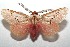  ( - 16-SRNP-103120)  @14 [ ] CreativeCommons  Attribution Non-Commercial Share-Alike (2017) Daniel H. Janzen Guanacaste Dry Forest Conservation Fund