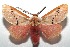  ( - 16-SRNP-103121)  @14 [ ] CreativeCommons  Attribution Non-Commercial Share-Alike (2017) Daniel H. Janzen Guanacaste Dry Forest Conservation Fund