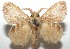  ( - 16-SRNP-103134)  @14 [ ] CreativeCommons  Attribution Non-Commercial Share-Alike (2017) Daniel H. Janzen Guanacaste Dry Forest Conservation Fund