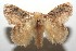  ( - 16-SRNP-103227)  @14 [ ] CreativeCommons  Attribution Non-Commercial Share-Alike (2017) Daniel H. Janzen Guanacaste Dry Forest Conservation Fund