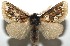  ( - 16-SRNP-103230)  @14 [ ] CreativeCommons  Attribution Non-Commercial Share-Alike (2017) Daniel H. Janzen Guanacaste Dry Forest Conservation Fund