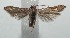  ( - 16-SRNP-103297)  @13 [ ] CreativeCommons  Attribution Non-Commercial Share-Alike (2017) Daniel H. Janzen Guanacaste Dry Forest Conservation Fund