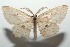  ( - 16-SRNP-103390)  @14 [ ] CreativeCommons  Attribution Non-Commercial Share-Alike (2017) Daniel H. Janzen Guanacaste Dry Forest Conservation Fund