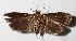  ( - 14-SRNP-381)  @13 [ ] CreativeCommons  Attribution Non-Commercial Share-Alike (2017) Daniel H. Janzen Guanacaste Dry Forest Conservation Fund