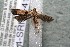  ( - 14-SRNP-41491)  @12 [ ] CreativeCommons  Attribution Non-Commercial Share-Alike (2017) Daniel H. Janzen Guanacaste Dry Forest Conservation Fund