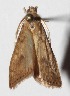  ( - 14-SRNP-58184)  @12 [ ] CreativeCommons  Attribution Non-Commercial Share-Alike (2017) Daniel H. Janzen Guanacaste Dry Forest Conservation Fund