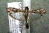  ( - 15-SRNP-10223)  @14 [ ] CreativeCommons  Attribution Non-Commercial Share-Alike (2017) Daniel H. Janzen Guanacaste Dry Forest Conservation Fund