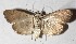  ( - 15-SRNP-21027)  @13 [ ] CreativeCommons  Attribution Non-Commercial Share-Alike (2017) Daniel H. Janzen Guanacaste Dry Forest Conservation Fund