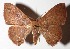  ( - 15-SRNP-21065)  @14 [ ] CreativeCommons  Attribution Non-Commercial Share-Alike (2017) Daniel H. Janzen Guanacaste Dry Forest Conservation Fund