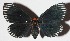  ( - 15-SRNP-26195)  @14 [ ] CreativeCommons  Attribution Non-Commercial Share-Alike (2017) Daniel H. Janzen Guanacaste Dry Forest Conservation Fund