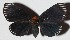  ( - 15-SRNP-26199)  @14 [ ] CreativeCommons  Attribution Non-Commercial Share-Alike (2017) Daniel H. Janzen Guanacaste Dry Forest Conservation Fund