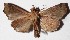  ( - 15-SRNP-30326)  @13 [ ] CreativeCommons  Attribution Non-Commercial Share-Alike (2017) Daniel H. Janzen Guanacaste Dry Forest Conservation Fund