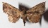  ( - 15-SRNP-45591)  @14 [ ] CreativeCommons  Attribution Non-Commercial Share-Alike (2017) Daniel H. Janzen Guanacaste Dry Forest Conservation Fund