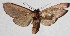  ( - 15-SRNP-45753)  @12 [ ] CreativeCommons  Attribution Non-Commercial Share-Alike (2017) Daniel H. Janzen Guanacaste Dry Forest Conservation Fund