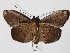  ( - 15-SRNP-998)  @14 [ ] CreativeCommons  Attribution Non-Commercial Share-Alike (2017) Daniel H. Janzen Guanacaste Dry Forest Conservation Fund