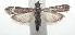  ( - 16-SRNP-100492)  @13 [ ] CreativeCommons  Attribution Non-Commercial Share-Alike (2017) Daniel H. Janzen Guanacaste Dry Forest Conservation Fund