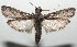  ( - 16-SRNP-100556)  @11 [ ] CreativeCommons  Attribution Non-Commercial Share-Alike (2017) Daniel H. Janzen Guanacaste Dry Forest Conservation Fund