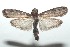  ( - 16-SRNP-100560)  @13 [ ] CreativeCommons  Attribution Non-Commercial Share-Alike (2017) Daniel H. Janzen Guanacaste Dry Forest Conservation Fund