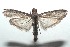  ( - 16-SRNP-100561)  @13 [ ] CreativeCommons  Attribution Non-Commercial Share-Alike (2017) Daniel H. Janzen Guanacaste Dry Forest Conservation Fund