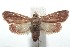  ( - 16-SRNP-100666)  @14 [ ] CreativeCommons  Attribution Non-Commercial Share-Alike (2017) Daniel H. Janzen Guanacaste Dry Forest Conservation Fund