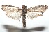  ( - 16-SRNP-100790)  @13 [ ] CreativeCommons  Attribution Non-Commercial Share-Alike (2017) Daniel H. Janzen Guanacaste Dry Forest Conservation Fund