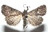  ( - 16-SRNP-100913)  @14 [ ] CreativeCommons  Attribution Non-Commercial Share-Alike (2017) Daniel H. Janzen Guanacaste Dry Forest Conservation Fund