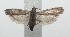  ( - 16-SRNP-101004)  @14 [ ] CreativeCommons  Attribution Non-Commercial Share-Alike (2017) Daniel H. Janzen Guanacaste Dry Forest Conservation Fund