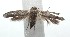  ( - 16-SRNP-101018)  @14 [ ] CreativeCommons  Attribution Non-Commercial Share-Alike (2017) Daniel H. Janzen Guanacaste Dry Forest Conservation Fund