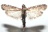  ( - 16-SRNP-101042)  @13 [ ] CreativeCommons  Attribution Non-Commercial Share-Alike (2017) Daniel H. Janzen Guanacaste Dry Forest Conservation Fund