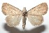  ( - 16-SRNP-101132)  @13 [ ] CreativeCommons  Attribution Non-Commercial Share-Alike (2017) Daniel H. Janzen Guanacaste Dry Forest Conservation Fund