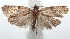  ( - 16-SRNP-101171)  @13 [ ] CreativeCommons  Attribution Non-Commercial Share-Alike (2017) Daniel H. Janzen Guanacaste Dry Forest Conservation Fund