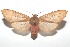  ( - 16-SRNP-101202)  @14 [ ] CreativeCommons  Attribution Non-Commercial Share-Alike (2017) Daniel H. Janzen Guanacaste Dry Forest Conservation Fund