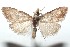  ( - 16-SRNP-101293)  @14 [ ] CreativeCommons  Attribution Non-Commercial Share-Alike (2017) Daniel H. Janzen Guanacaste Dry Forest Conservation Fund