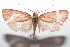  ( - 16-SRNP-101318)  @14 [ ] CreativeCommons  Attribution Non-Commercial Share-Alike (2017) Daniel H. Janzen Guanacaste Dry Forest Conservation Fund