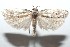  ( - 16-SRNP-101326)  @14 [ ] CreativeCommons  Attribution Non-Commercial Share-Alike (2017) Daniel H. Janzen Guanacaste Dry Forest Conservation Fund
