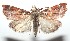  ( - 16-SRNP-101346)  @14 [ ] CreativeCommons  Attribution Non-Commercial Share-Alike (2017) Daniel H. Janzen Guanacaste Dry Forest Conservation Fund