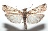  ( - 16-SRNP-101362)  @14 [ ] CreativeCommons  Attribution Non-Commercial Share-Alike (2017) Daniel H. Janzen Guanacaste Dry Forest Conservation Fund