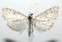  ( - 16-SRNP-101375)  @14 [ ] CreativeCommons  Attribution Non-Commercial Share-Alike (2017) Daniel H. Janzen Guanacaste Dry Forest Conservation Fund