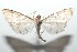  ( - 16-SRNP-101383)  @13 [ ] CreativeCommons  Attribution Non-Commercial Share-Alike (2017) Daniel H. Janzen Guanacaste Dry Forest Conservation Fund