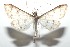  ( - 16-SRNP-101388)  @13 [ ] CreativeCommons  Attribution Non-Commercial Share-Alike (2017) Daniel H. Janzen Guanacaste Dry Forest Conservation Fund