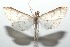  ( - 16-SRNP-101389)  @13 [ ] CreativeCommons  Attribution Non-Commercial Share-Alike (2017) Daniel H. Janzen Guanacaste Dry Forest Conservation Fund