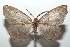  ( - 16-SRNP-101474)  @15 [ ] CreativeCommons  Attribution Non-Commercial Share-Alike (2017) Daniel H. Janzen Guanacaste Dry Forest Conservation Fund