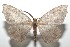  ( - 16-SRNP-101476)  @14 [ ] CreativeCommons  Attribution Non-Commercial Share-Alike (2017) Daniel H. Janzen Guanacaste Dry Forest Conservation Fund