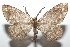  ( - 16-SRNP-101488)  @14 [ ] CreativeCommons  Attribution Non-Commercial Share-Alike (2017) Daniel H. Janzen Guanacaste Dry Forest Conservation Fund